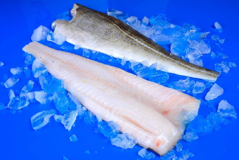 Na Uy Giá cá tuyết đông lạnh ổn định, cá tuyết tươi tăng