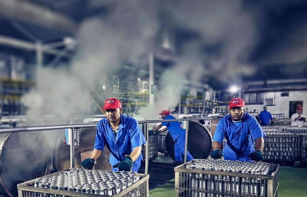 Giá bột cá, dầu cá cao thúc đẩy doanh thu của Tập đoàn Oceana 