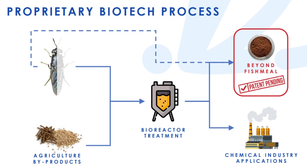 Công ty protein côn trùng Italy có kế hoạch xây nhà máy 40.000 tấn ở Na Uy vào năm 2027