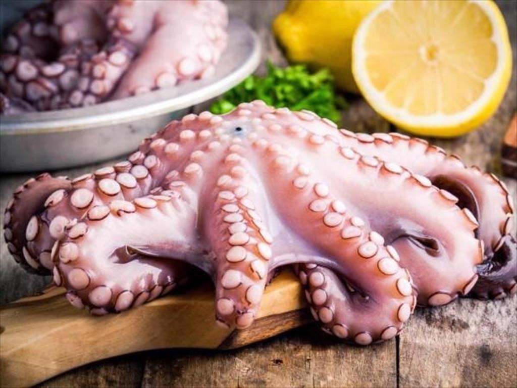 Cephalopod exports are expected to decrease slightly in the first quarter of the year