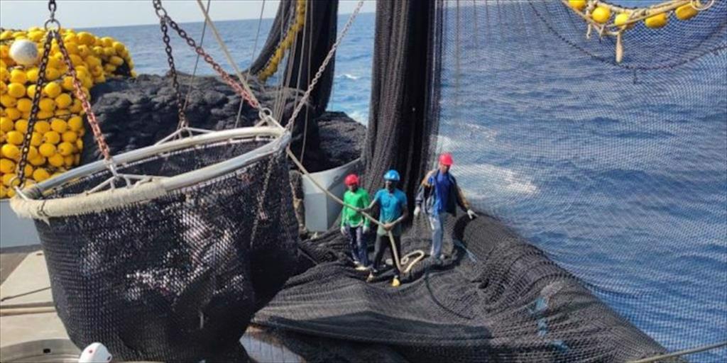 Ecuador giảm xuất khẩu cá ngừ trong năm 2023