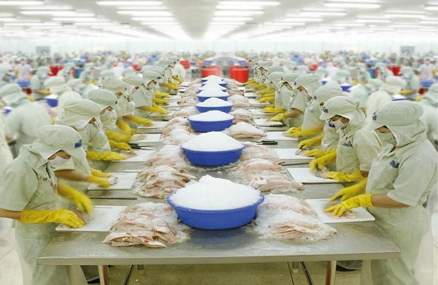 Anh-thị trường tiêu thụ ổn định của cá tra Việt Nam