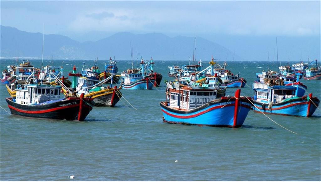 Nghiêm túc thực hiện công tác ATTP và chống khai thác IUU đối với tàu cá, cảng cá