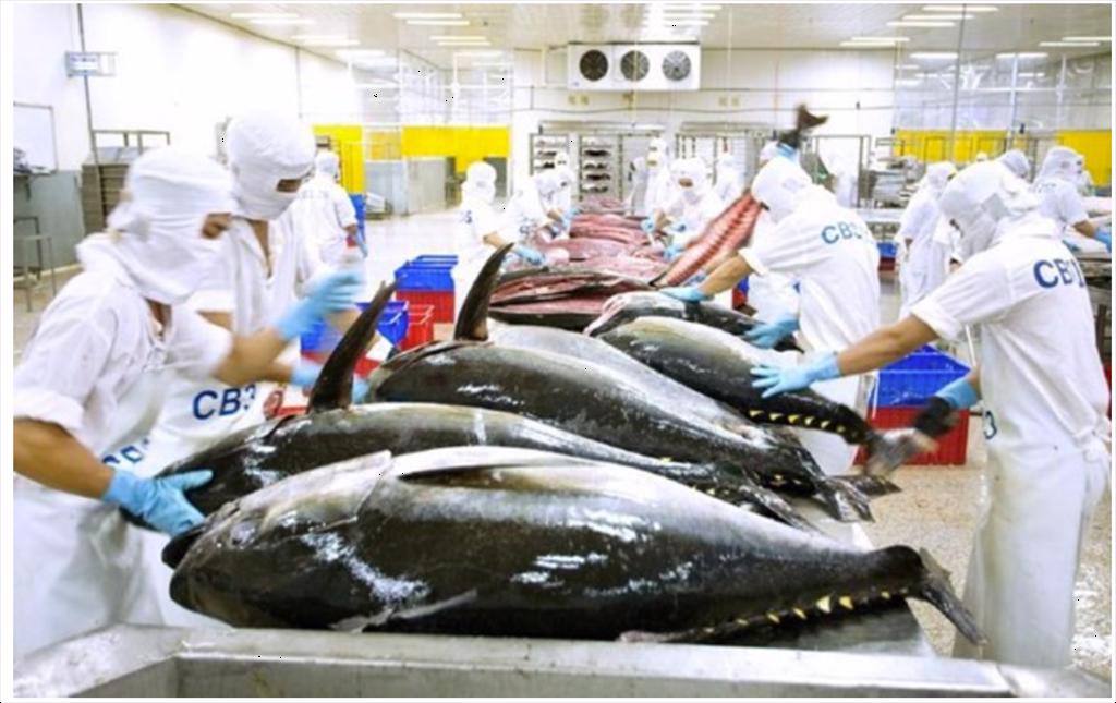 Canada - a potential tuna market 