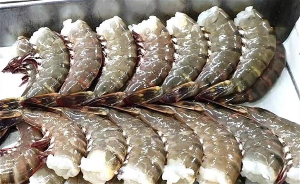 FTA với Trung Quốc có hiệu lực trong bối cảnh bất lợi cho tôm Ecuador