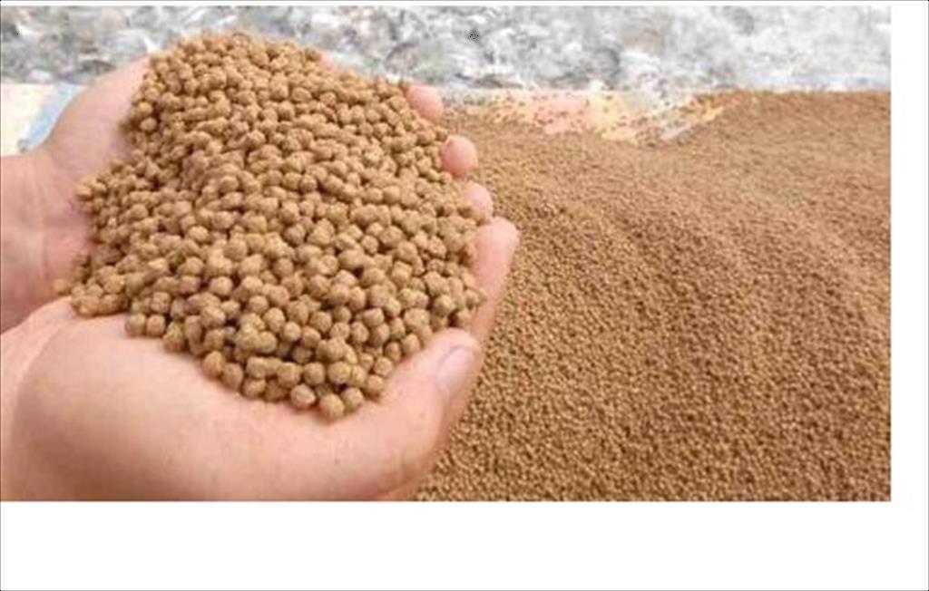 Giá bột cá giảm ở Trung Quốc do thông báo hạn ngạch cá cơm của Peru