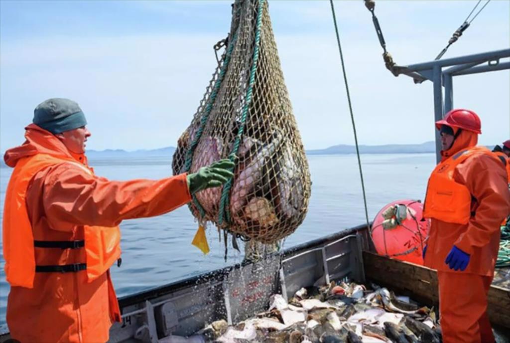 Nga chú ý tăng xuất khẩu thủy sản sang các thị trường mới