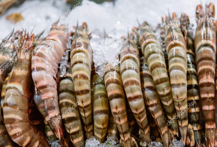 Tìm hiểu về nhu cầu thị trường tôm châu Âu 