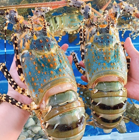 Thêm cơ hội tăng trưởng cho thị trường thủy sản có vỏ sống tại Trung Quốc