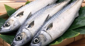 Nhập khẩu cá thu đông lạnh vào Hàn Quốc giảm 16% trong tháng 3/2024