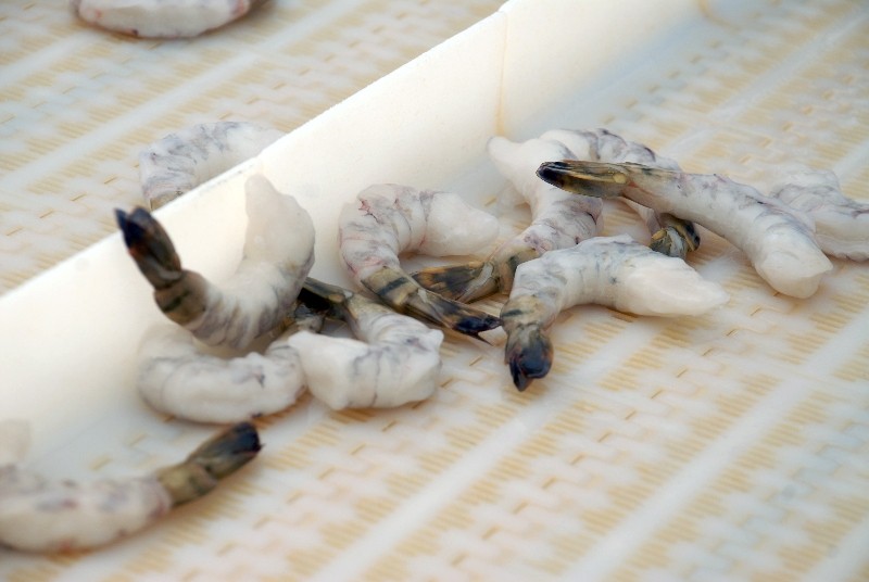 Avanti, Devi, Sandhya Aqua dẫn đầu về doanh thu tôm tại Ấn Độ