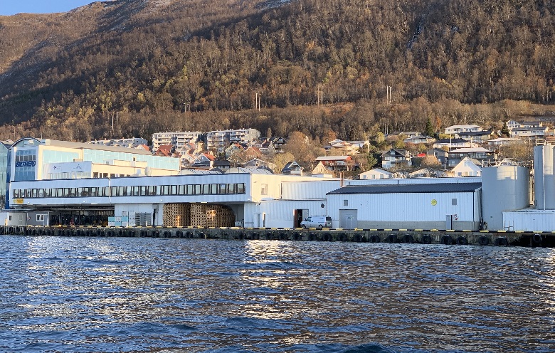 Pelagia (Na Uy) Lợi nhuận giảm do giá bột cá biến động 