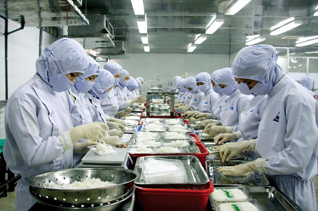 Infographic Xuất khẩu chả cá và surimi của Việt Nam 3 tháng đầu năm 2024