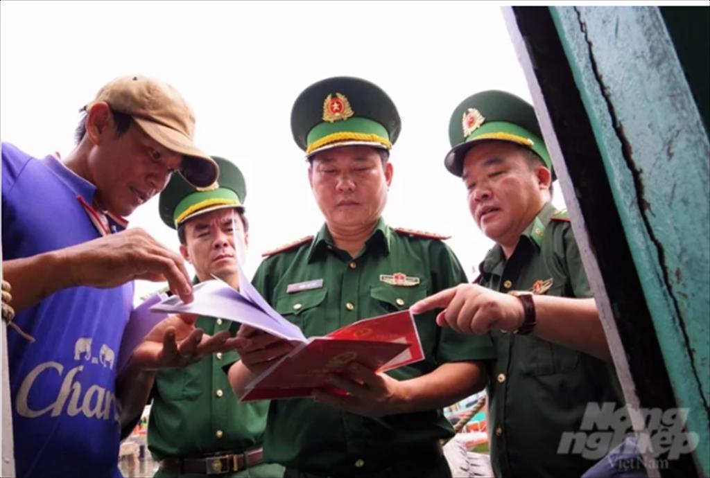 Cương quyết không để tàu cá vươn khơi khi chưa đủ điều kiện