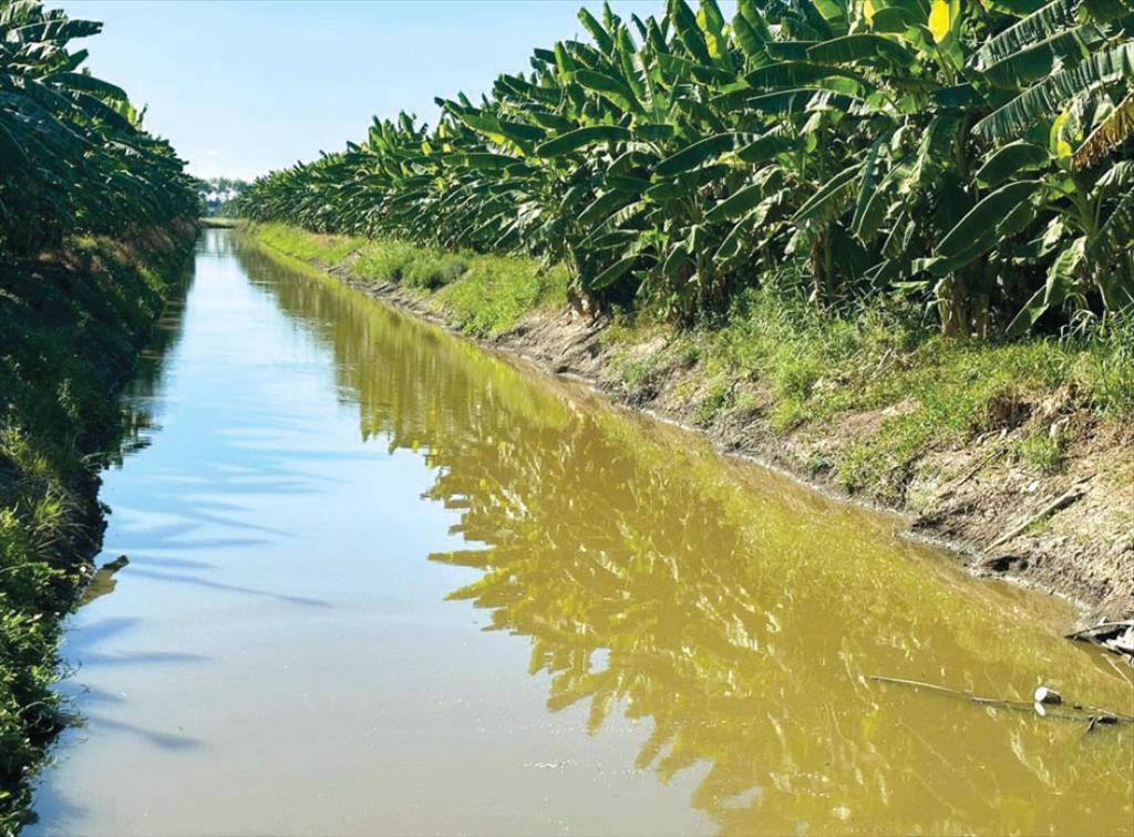 Giải pháp cho vấn đề nguồn nước vùng ĐBSCL