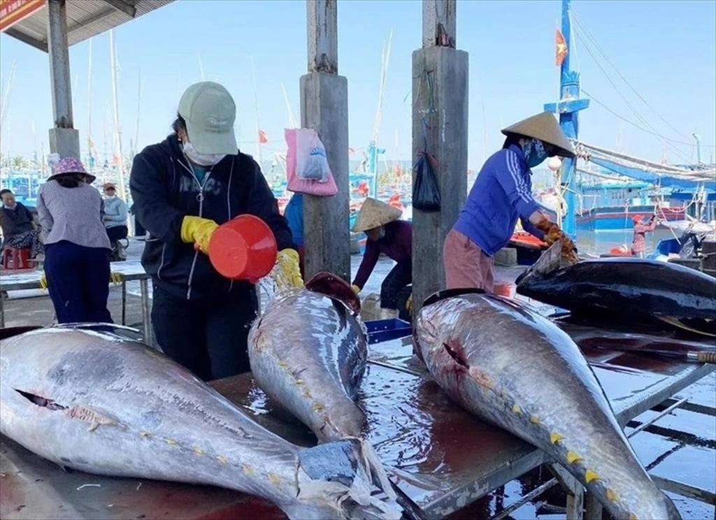 Binh Dinh takes strong actions against IUU fishing