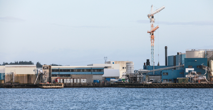 Peru Xuất khẩu bột cá tăng vọt  