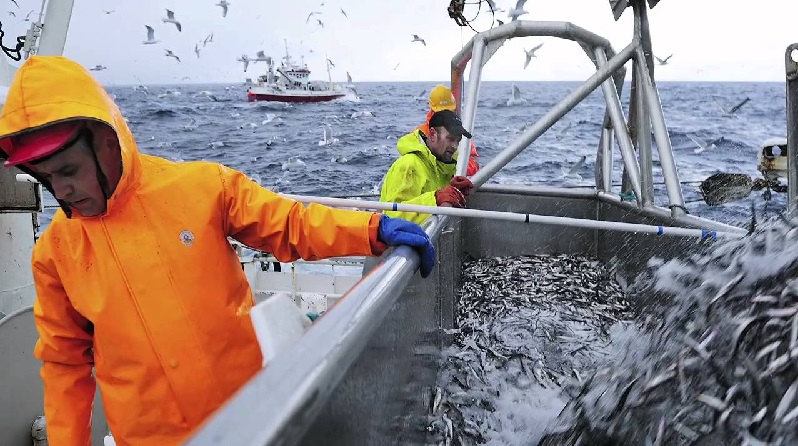 Na Uy Xuất khẩu thủy sản tháng 42024 lập kỷ lục 