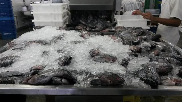 Brazil Thâm hụt thương mại tiếp tục tăng 