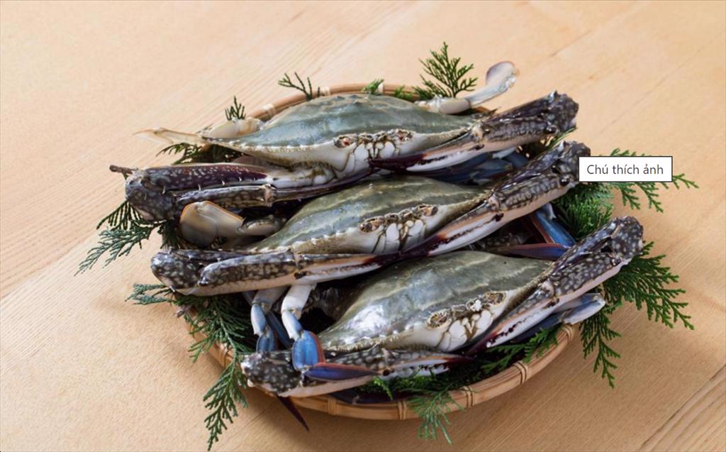 Demand for Vietnamese crab from markets recovered