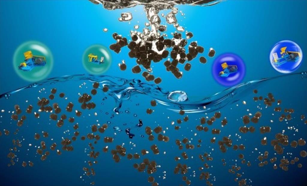 Sản xuất thức ăn thủy sản từ chất thải công nghiệp