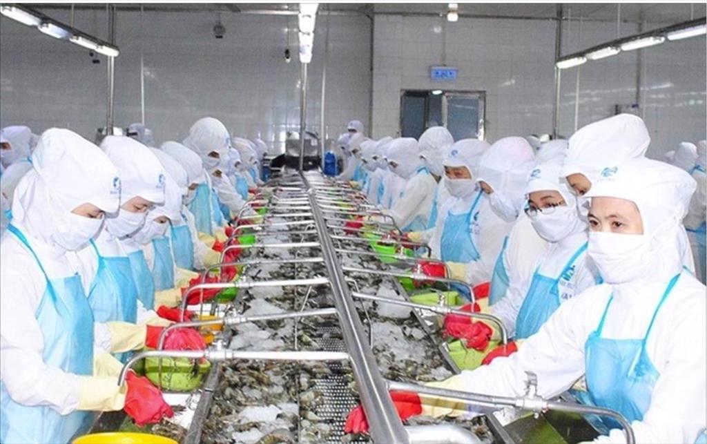 April 2024 Many seafood products have a green signal in exports