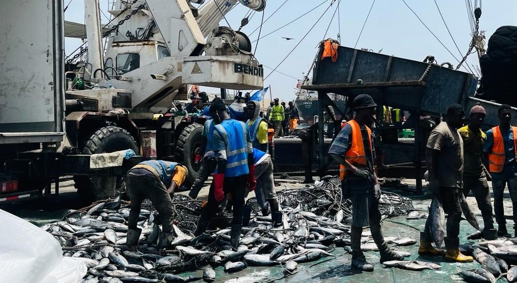 Senegal chuyển sang kiểm soát hoạt động đánh bắt IUU