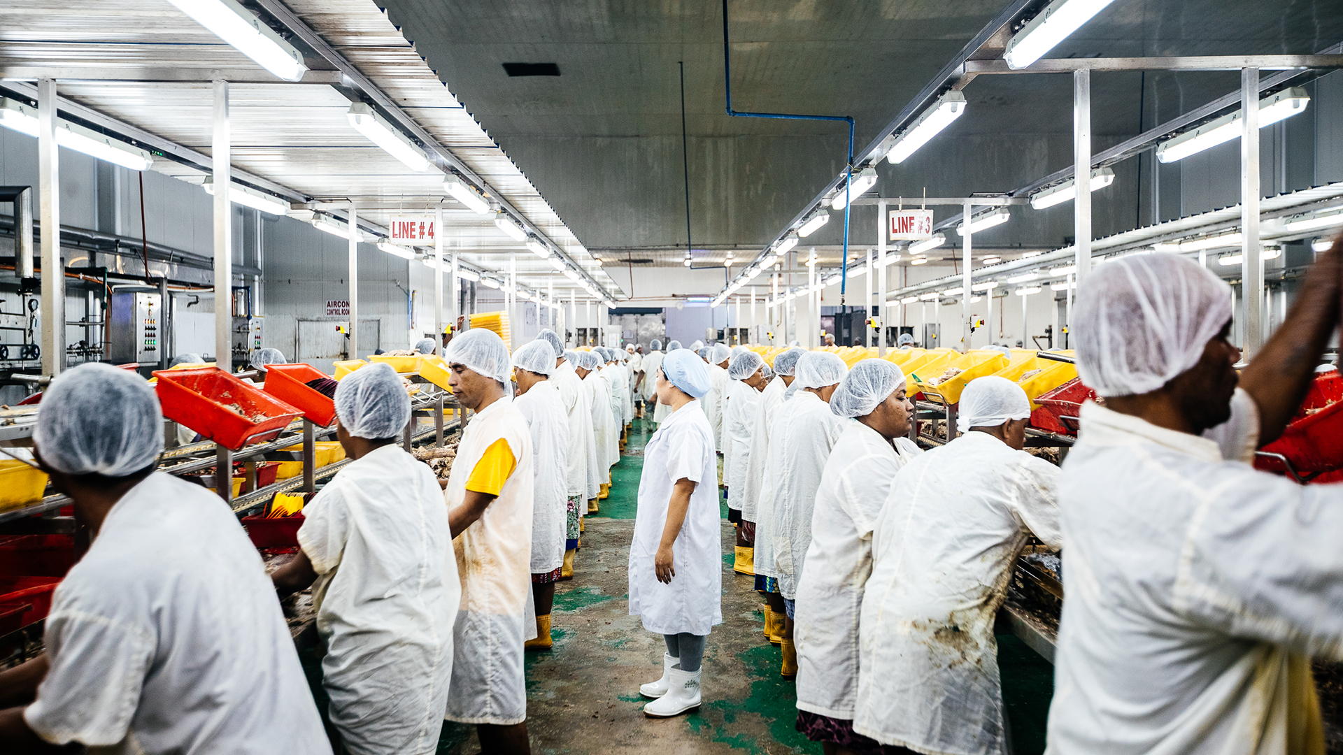 MSC thắt chặt điều kiện để đạt chứng nhận sau chỉ trích về lao động cưỡng bức 