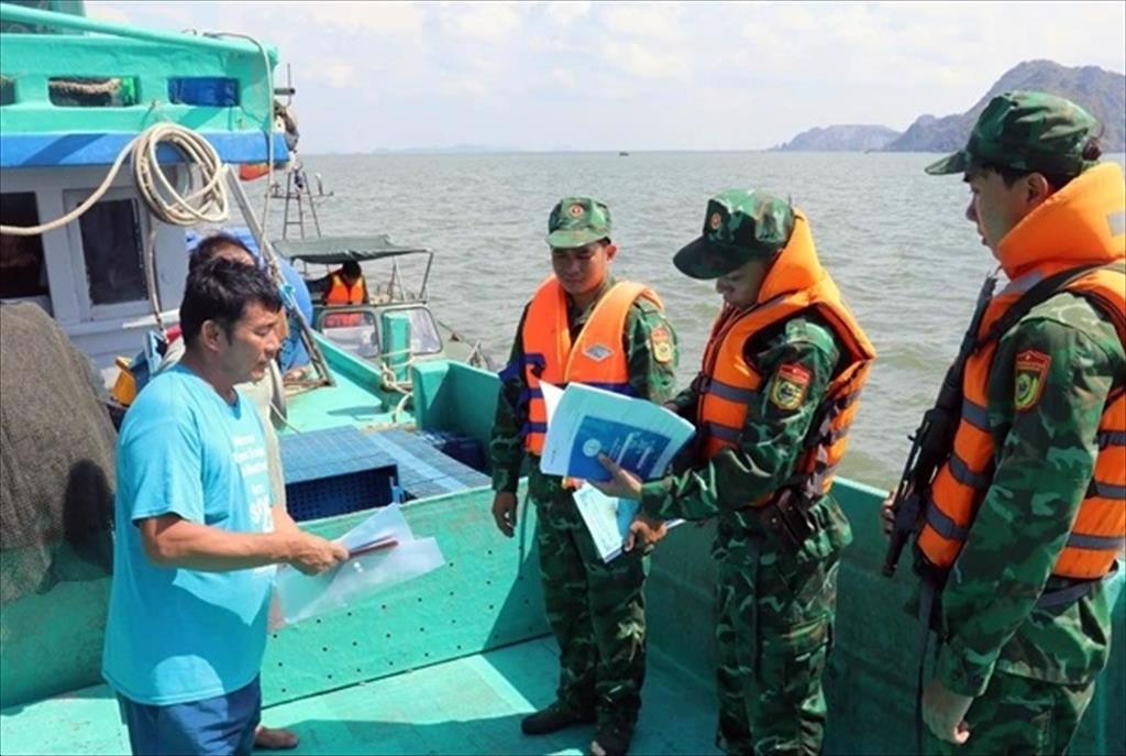 EC reschedules fifth IUU fishing inspection in Vietnam