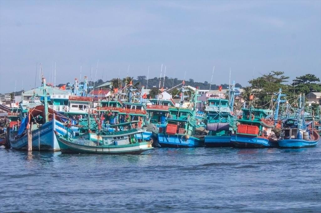 Đến năm 2030 sẽ giảm dần số lượng tàu cá còn 83.600 chiếc