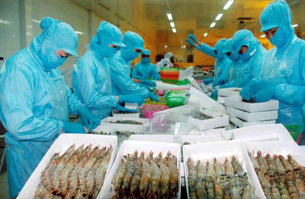 Thủy sản Việt Nam khẳng định vị thế từ chất lượng hướng tới mục tiêu xuất khẩu 14 -16 tỷ USD