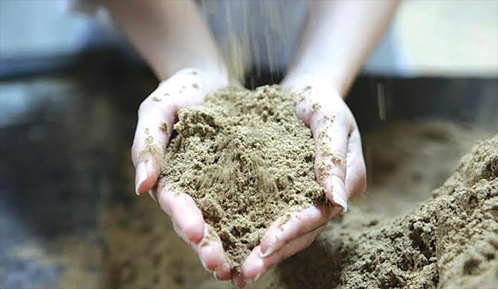 Giá bột cá Thượng Hải ổn định dù sản lượng cá cơm Peru tăng mạnh