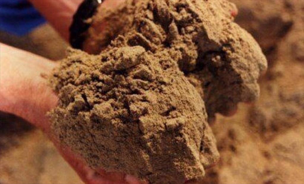 Sản lượng bột cá toàn cầu giảm 27% trong quý I2024