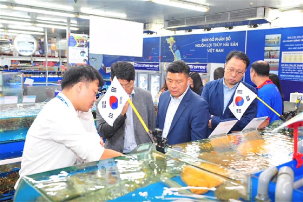 Hải sản Hàn Quốc, Nhật Bản “chen chân” vào thị trường Việt Nam