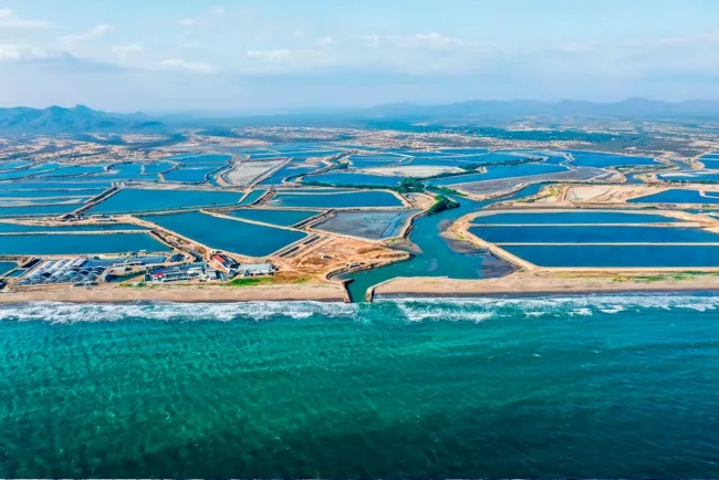 DOC công bố quyết định sơ bộ thuế CBPG với tôm Ecuador và Indonesia 