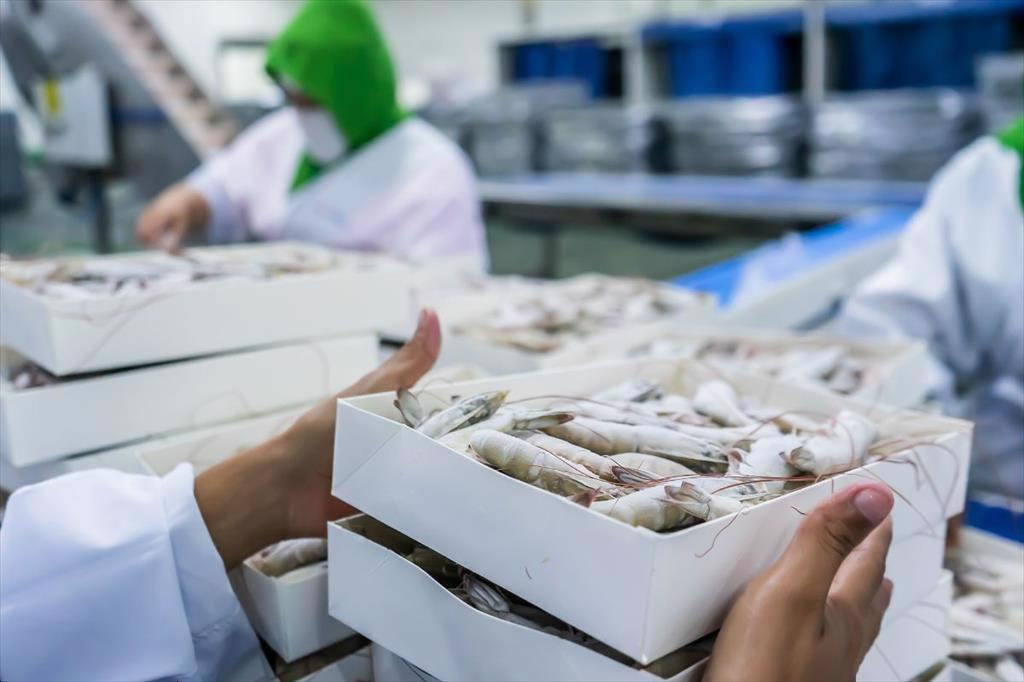 Hiện trạng cơ sở chế biến tôm cả nước