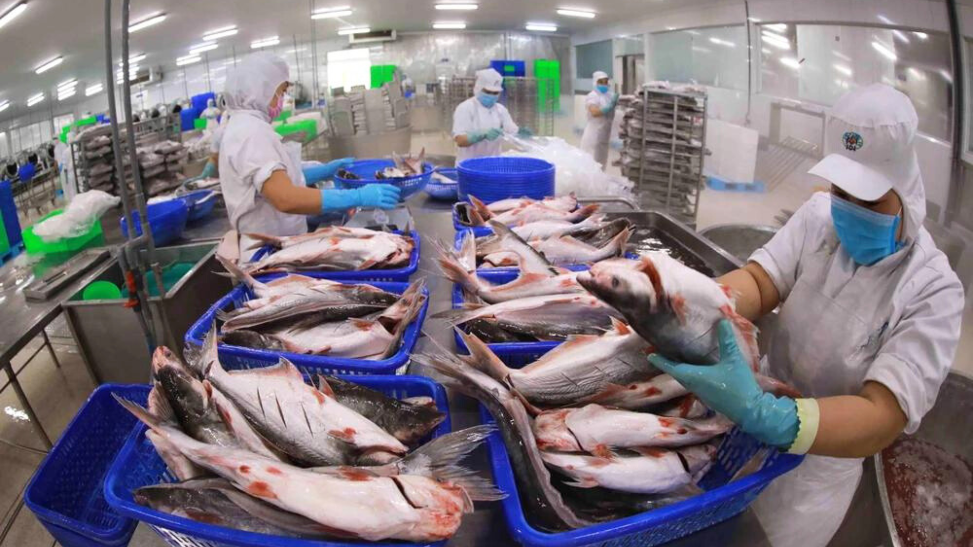 Người tiêu dùng Iran ngày càng ưa thích cá tra Việt Nam