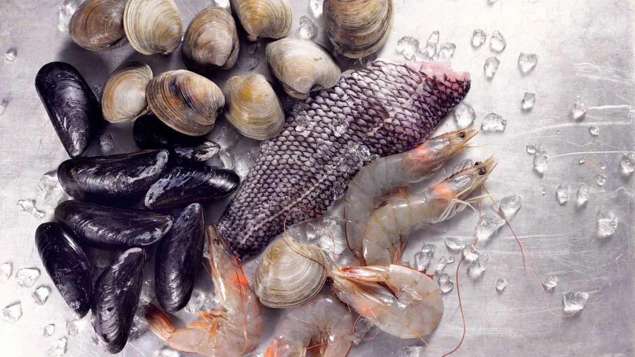 Infographic Xuất khẩu nhuyễn thể có vỏ của Việt Nam 4 tháng đầu năm 2024