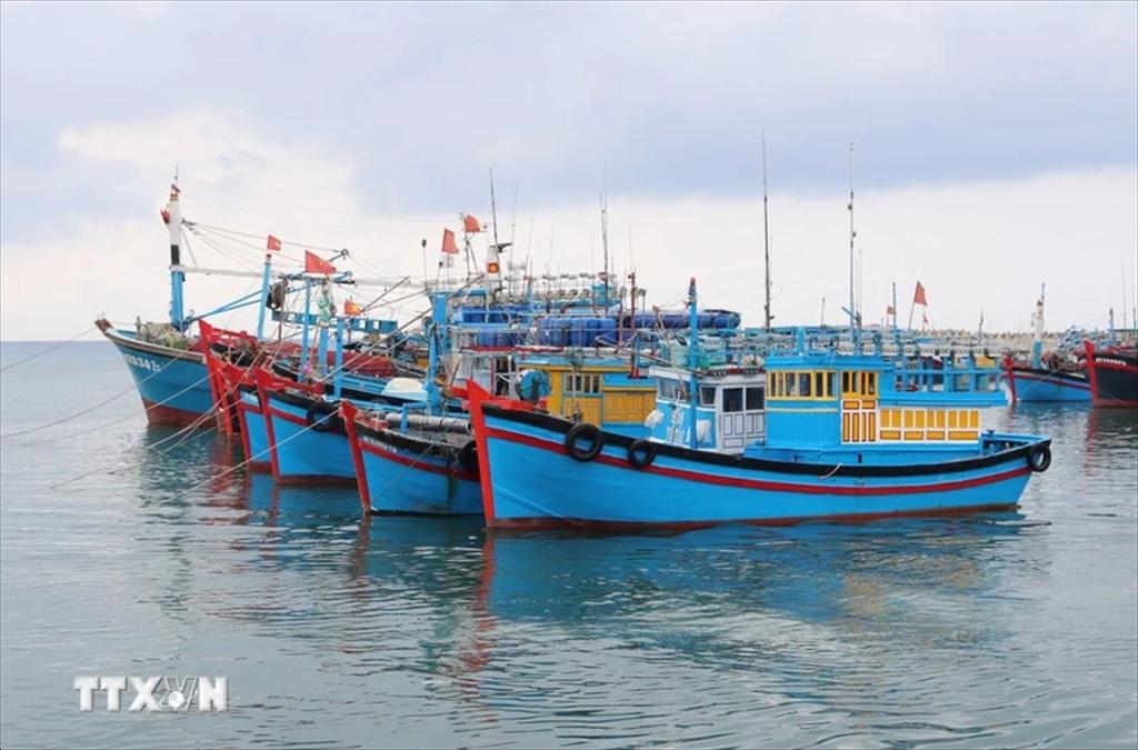 Ben Tre strictly handles IUU fishing