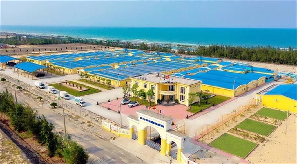 Mua lại công ty thủy sản, Mebi-Group bước chân vào ngành sản xuất tôm giống