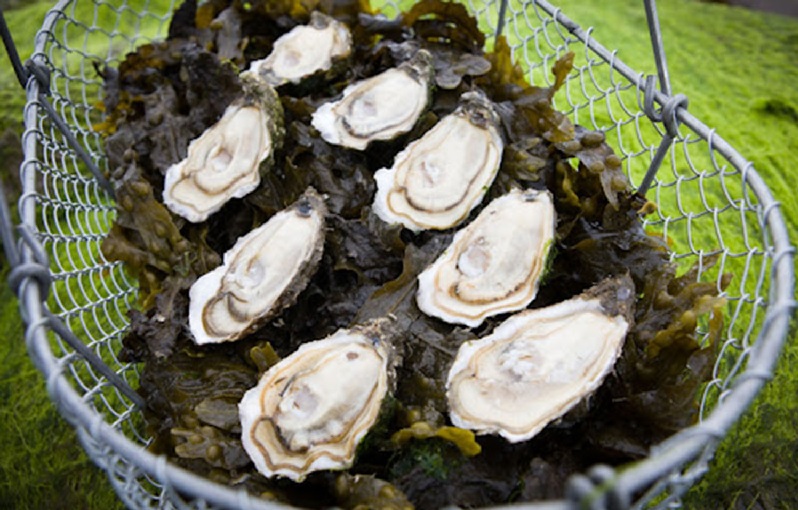 Trung Quốc giảm nhập khẩu hàu từ châu Âu  