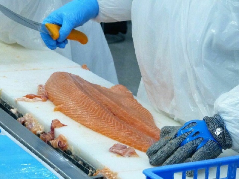Brazil là thị trường nhập khẩu nhiều nhất thủy sản Chile