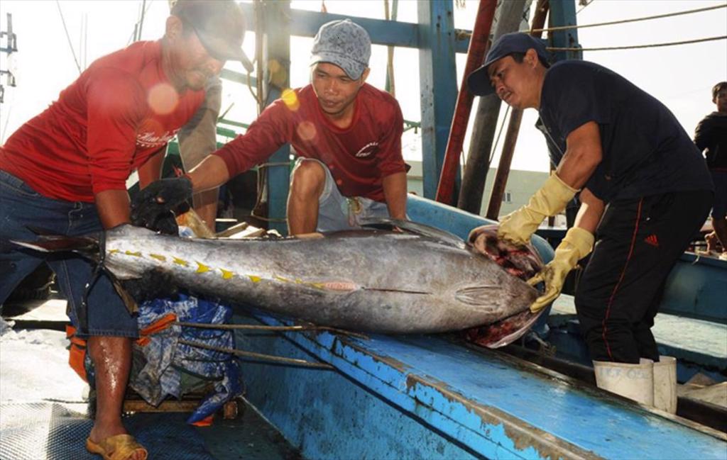 April 2024 Many positive signals from tuna export markets