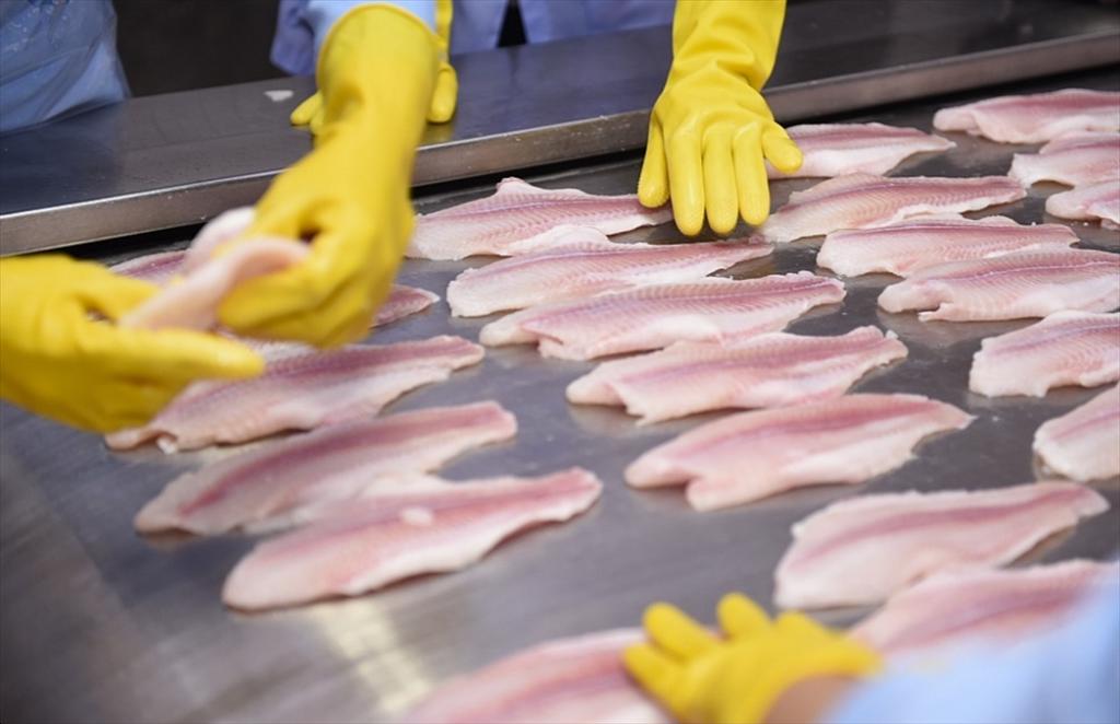 Agricultural and food businesses increased profits thanks to the export recovery