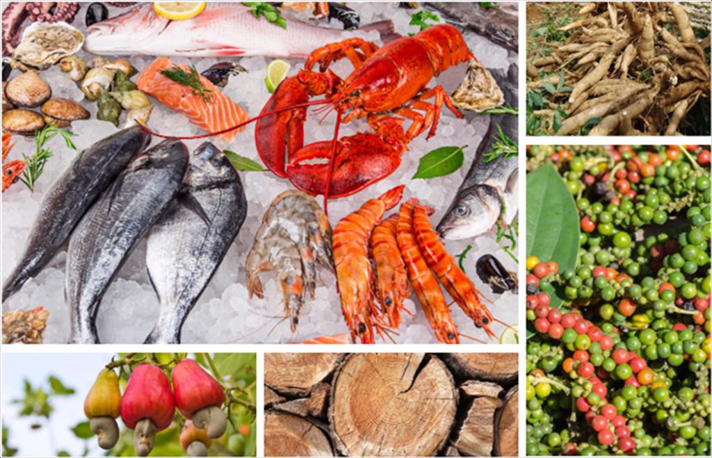 Xuất khẩu nông lâm thủy sản 5 tháng đầu năm 2024 Nhiều nhóm hàng chủ lực tăng trưởng cao