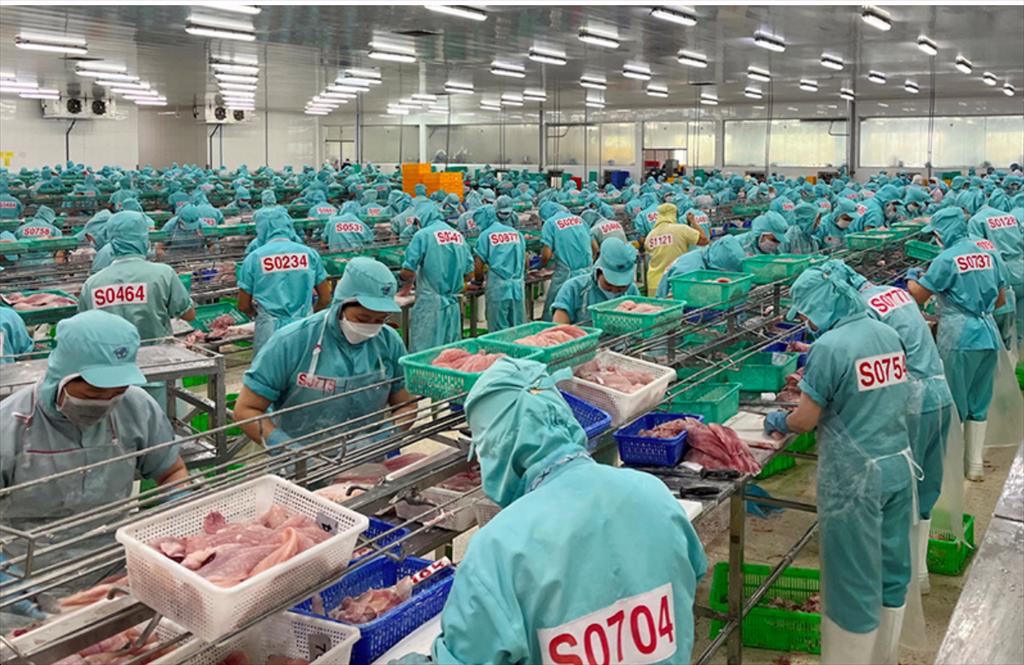 Dong Thap Fishery production to reach 5,554 billion VND in H1.2024