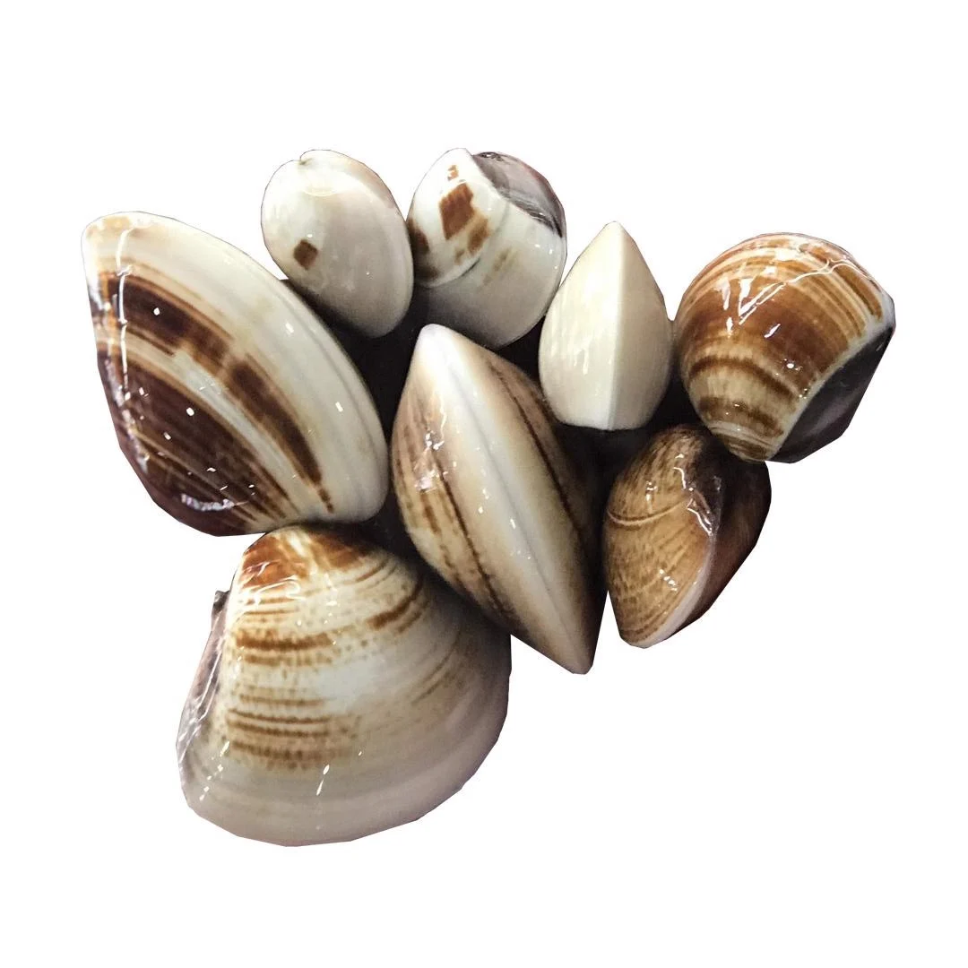 Nghêu Việt Nam được xuất khẩu sang hơn 30 thị trường trên thế giới