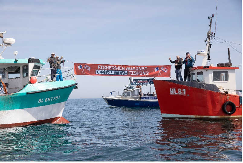 BLOOM kêu gọi EU áp dụng các biện pháp cứu đại dương 