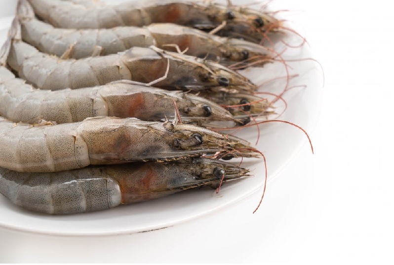 Tình hình xuất khẩu của 3 nguồn cung tôm chính thế giới những tháng đầu năm nay