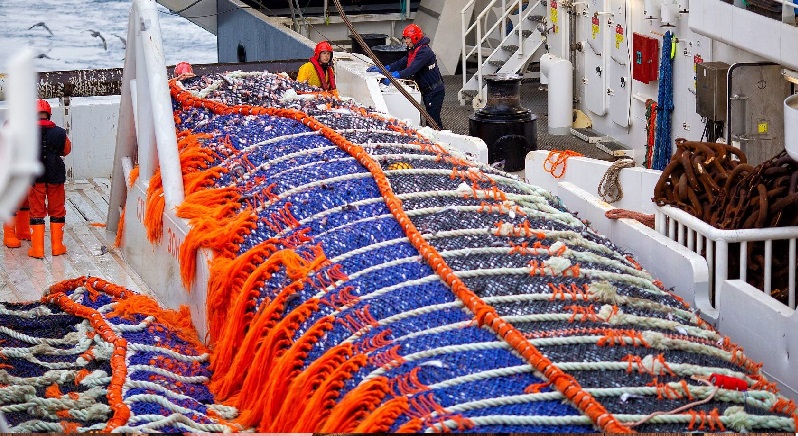 Sản lượng surimi cá minh thái của Nga dự kiến tăng lên 160.000 tấn năm 2028 